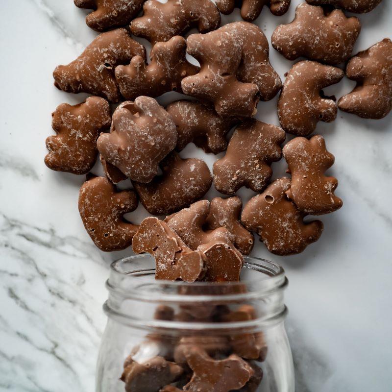 Chocolate Animal Cookies